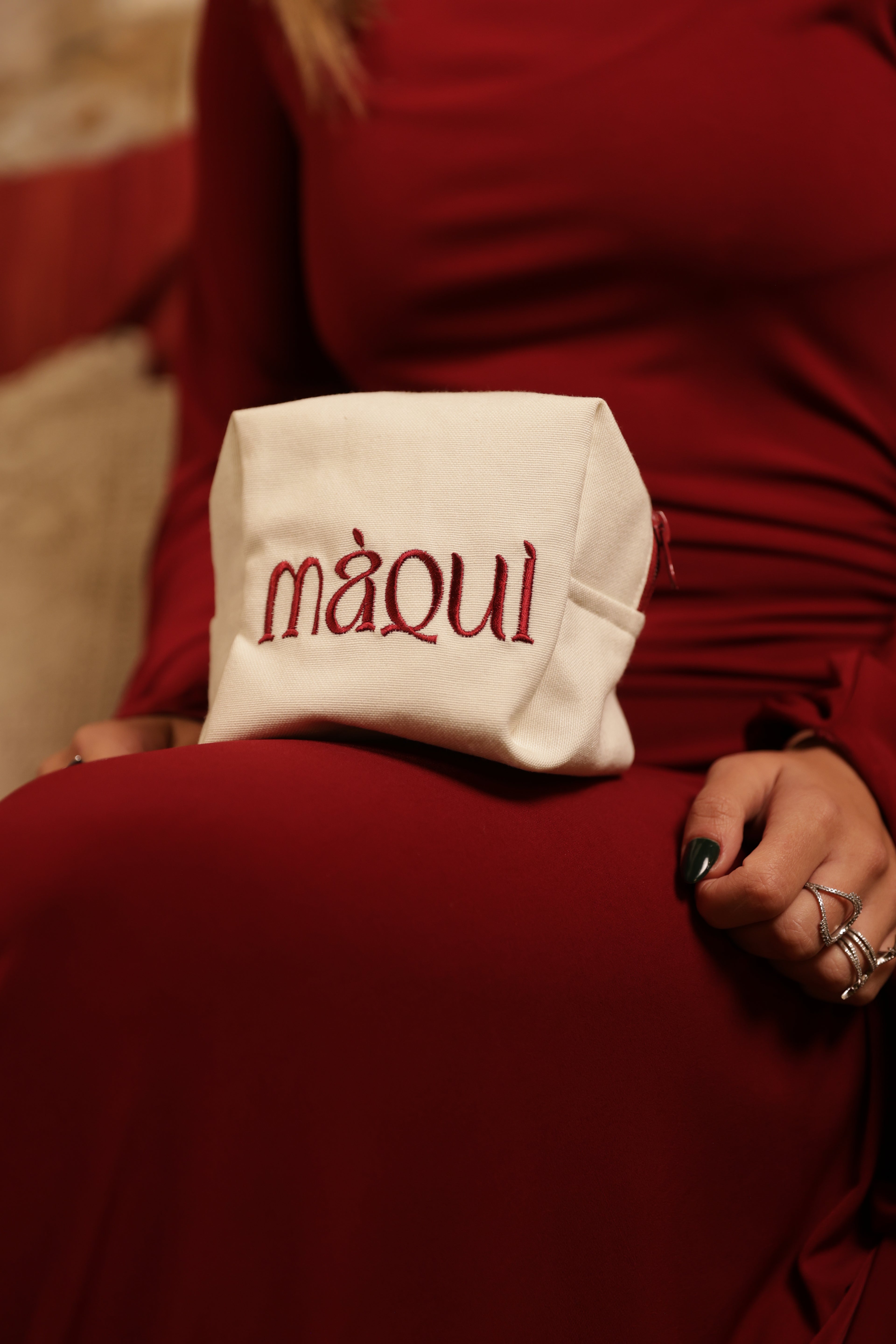 Christmas Makeup Bag