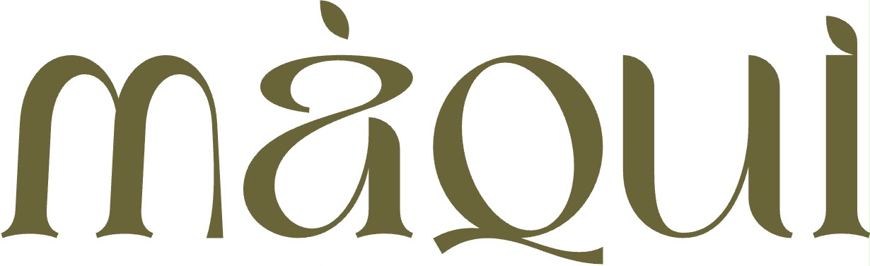 Abirds company logo